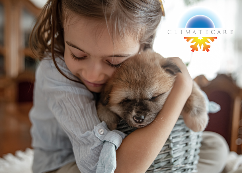 Dandy Without Dander:  Let Your Pets Join Our Home Care Club!