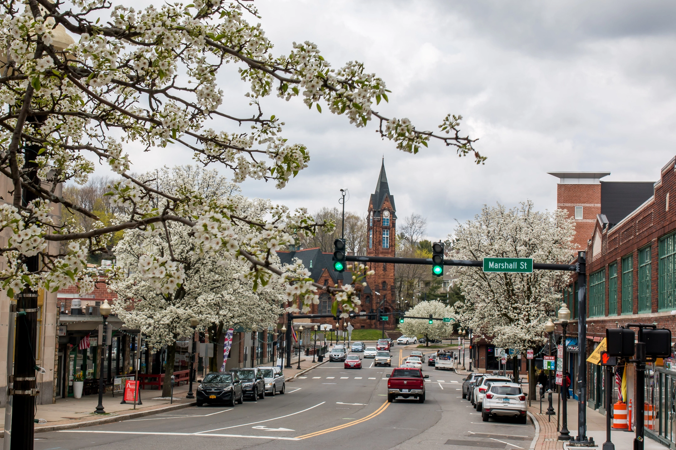 Springtime street scene with flowering trees and a clock tower in the background.