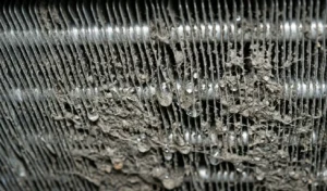 Close-up of dirty evaporator coils with matted debris and moisture buildup.